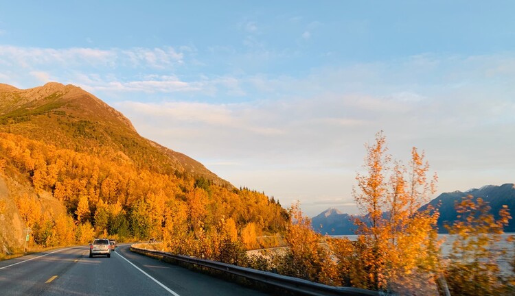 A two-lane highway curves along a mountainside covered in glowing golden and orange autumn trees, with a few cars heading down the road. To the right, a guardrail separates the road from the water, where blue mountains rise on the far shore under a soft, partly cloudy sky.