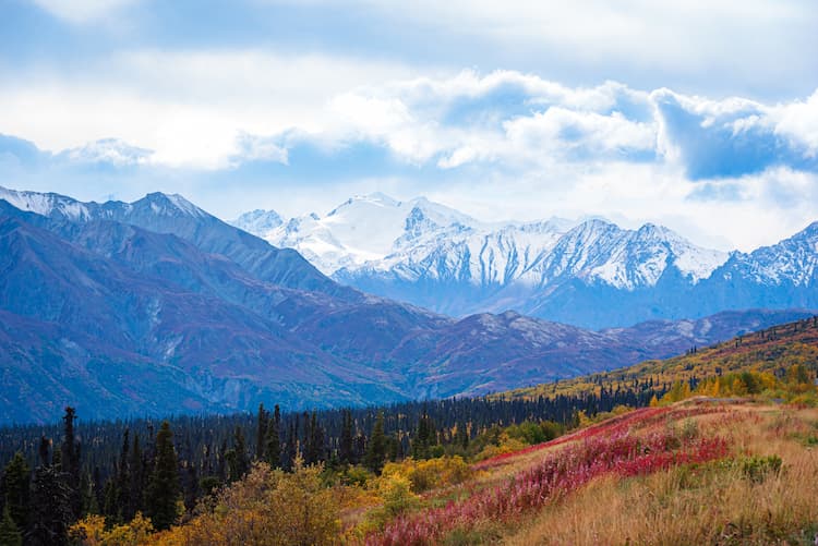 Things to Do in Anchorage in the Summer